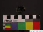 L_V23d3920 J4q216.1 U912 dM la f52